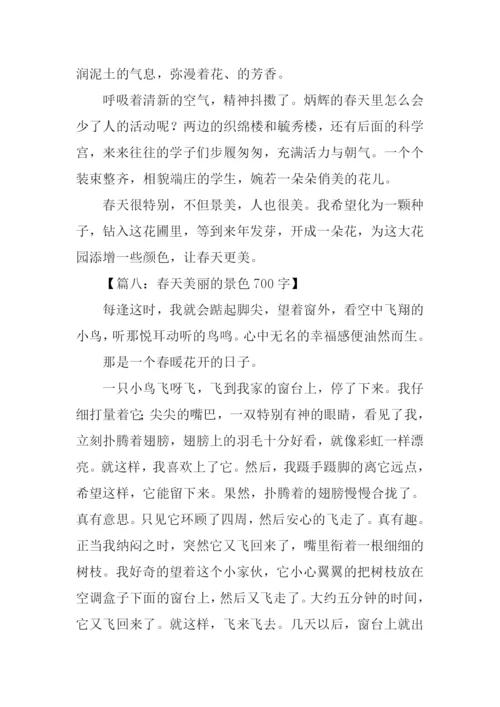 描写春天景色的作文-2.docx