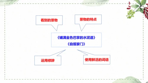 5 《铺满巴掌的水泥道》仿写指导课件
