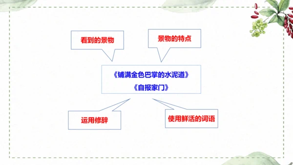 5 《铺满巴掌的水泥道》仿写指导课件