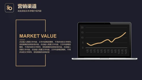高端黑金商业计划书通用PPT模板