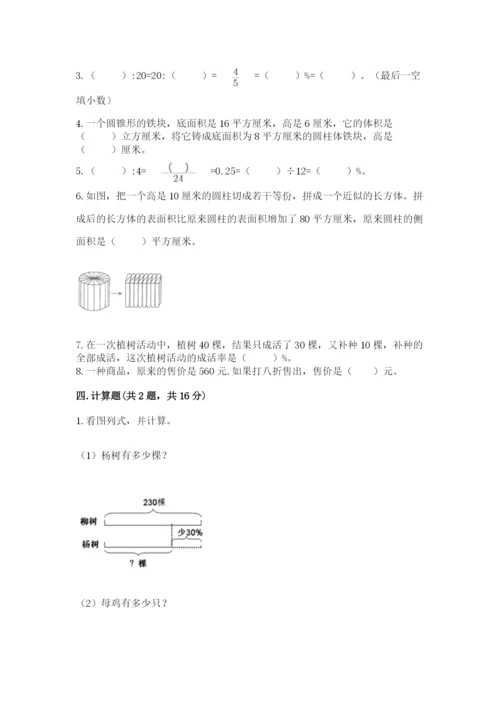 苏教版六年级下册数学期中测试卷（模拟题）.docx