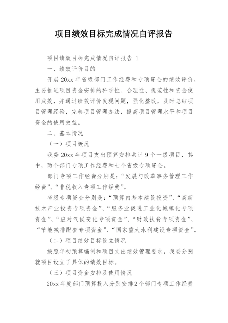 项目绩效目标完成情况自评报告.docx