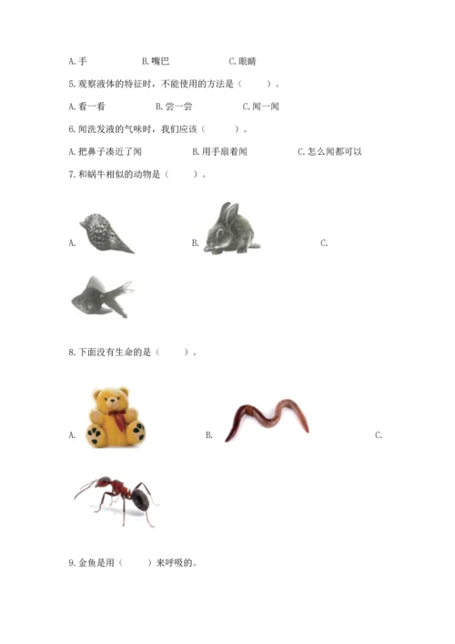 教科版一年级下册科学期末测试卷（全优）.docx