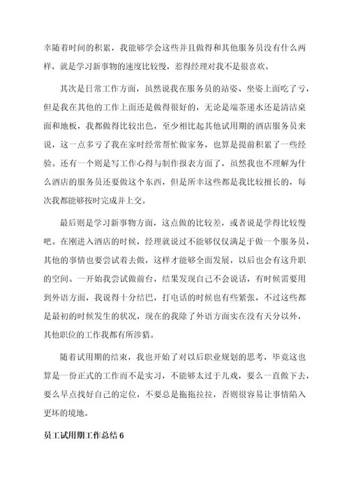 员工试用期工作总结范例