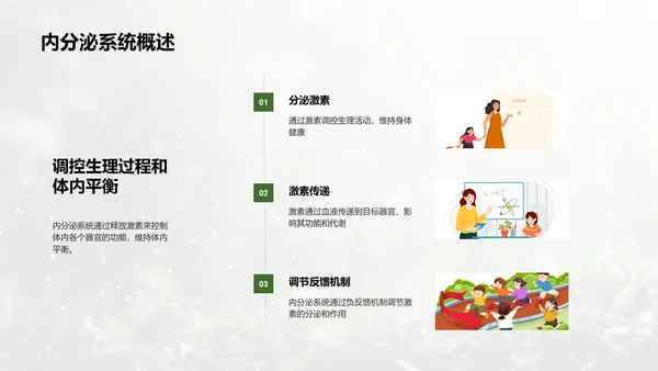 人体系统协作讲座PPT模板