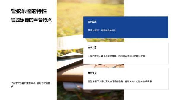 乐器漫游指南