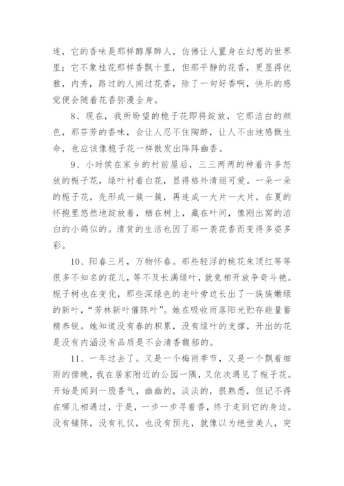 描写栀子花的优美段落.docx