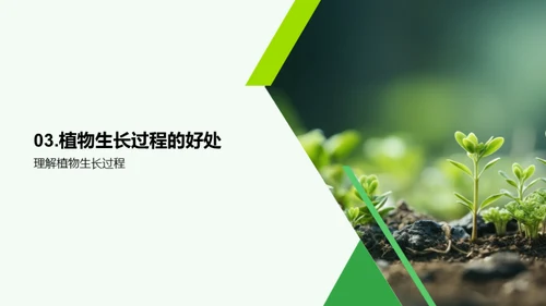 植物奥秘：生命之源