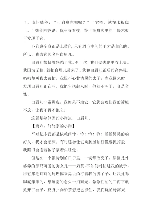 姥姥家的小狗作文.docx