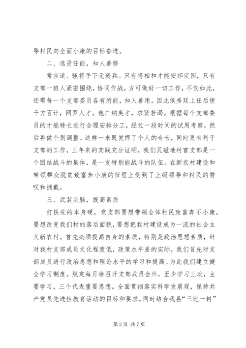 村党支部先进事迹典型材料.docx