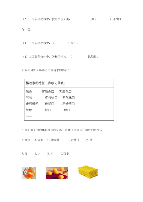 教科版小学科学一年级下册期末测试卷（能力提升）.docx