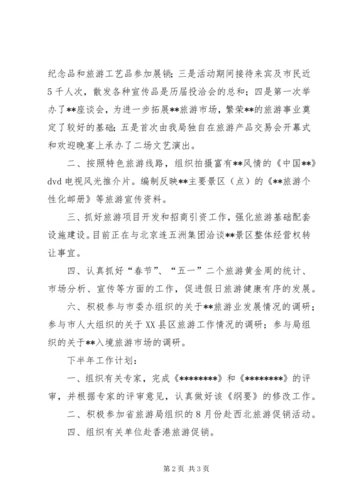 市旅游局上半年工作总结和下半年工作计划.docx
