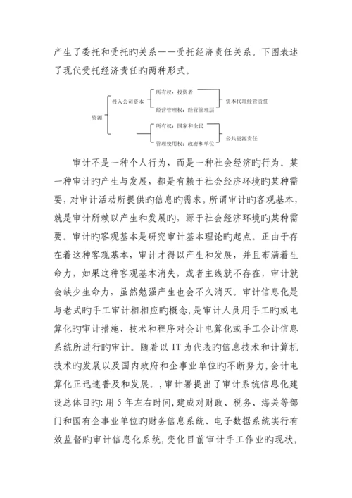 现代审计信息化问题专题研究报告.docx