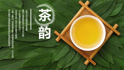 中国传统茶文化茶艺宣传PPT模板