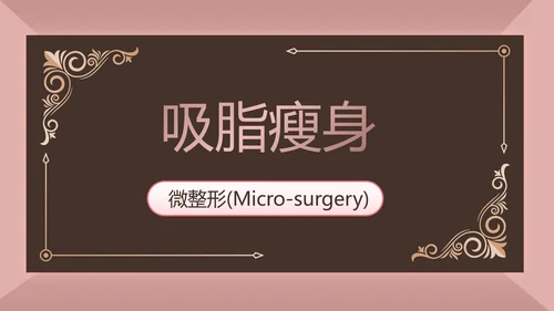 微整形项目介绍工作总结汇报动态PPT