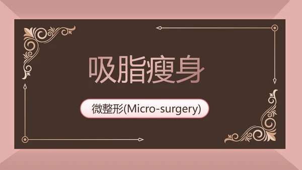 微整形项目介绍工作总结汇报动态PPT