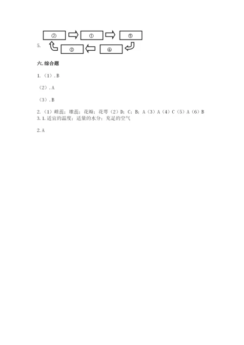 教科版四年级下册科学第一单元《植物的生长变化》测试卷精品【全优】.docx