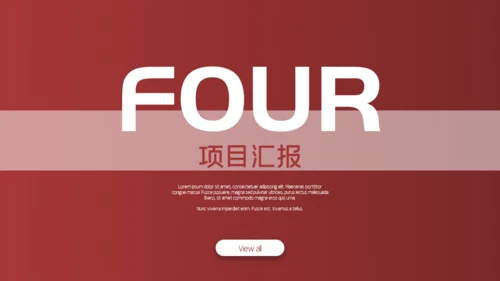 金融业投资者项目通用PPT模板
