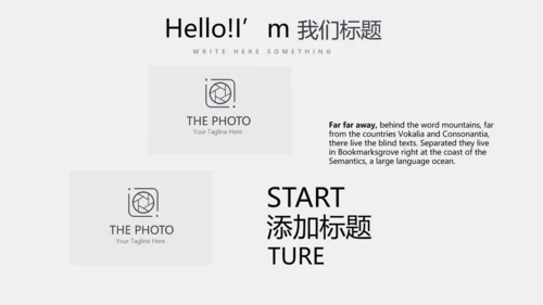 灰色公司产品介绍宣传通用PPT动态模板