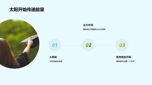 深度解析食物链