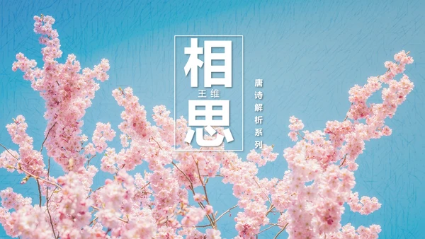 文艺小清新唐诗王维相思PPT教学课件