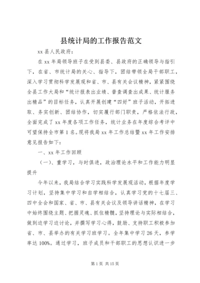 县统计局的工作报告范文 (3).docx