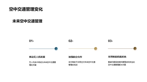 空中交通：新世纪挑战