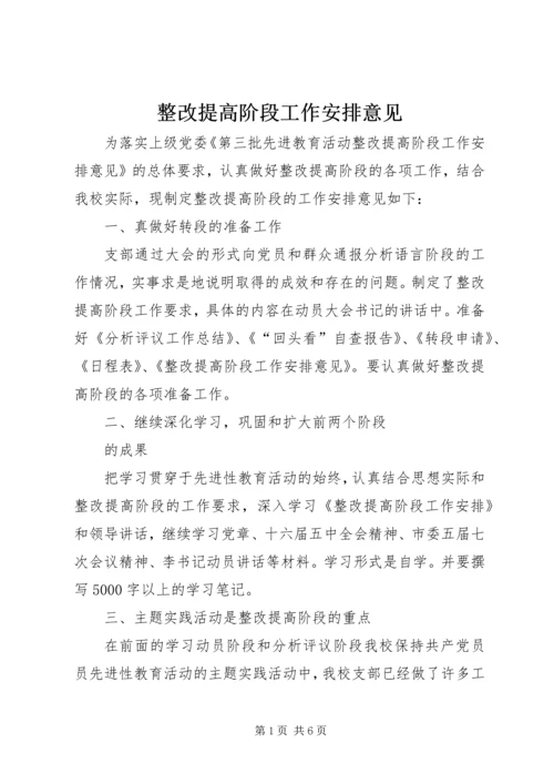 整改提高阶段工作安排意见.docx