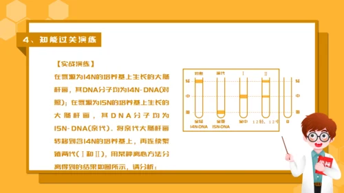 人教版生物课《DNA的复制》通用PPT课件