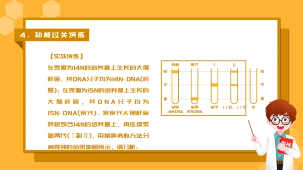 人教版生物课《DNA的复制》通用PPT课件