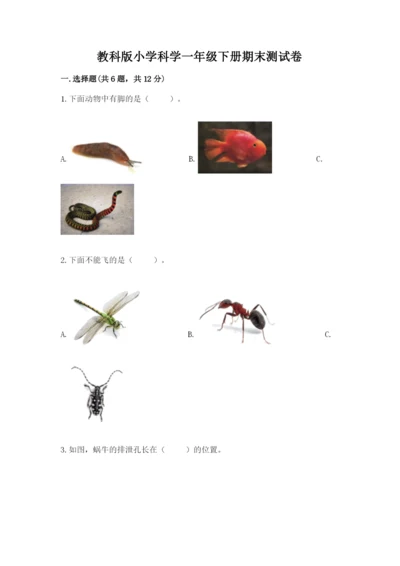 教科版小学科学一年级下册期末测试卷及参考答案（基础题）.docx