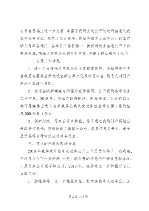 公共文化领域试点工作总结.docx
