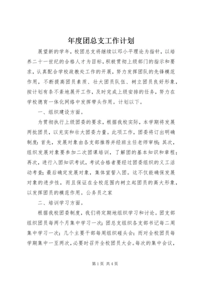 年度团总支工作计划 (2).docx