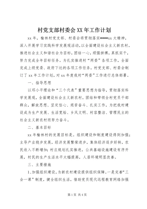 村党支部村委会XX年工作计划 (2).docx