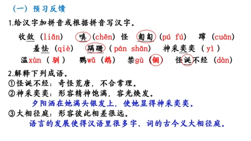 17  动物笑谈 教学课件(共17张PPT)