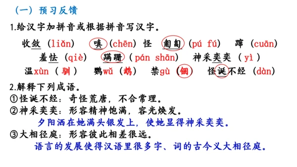 17  动物笑谈 教学课件(共17张PPT)