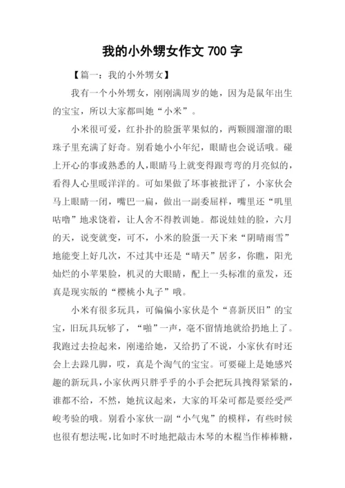 我的小外甥女作文700字.docx