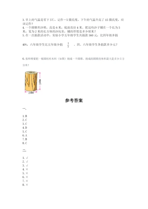 苏教版小升初数学模拟试卷及答案（典优）.docx