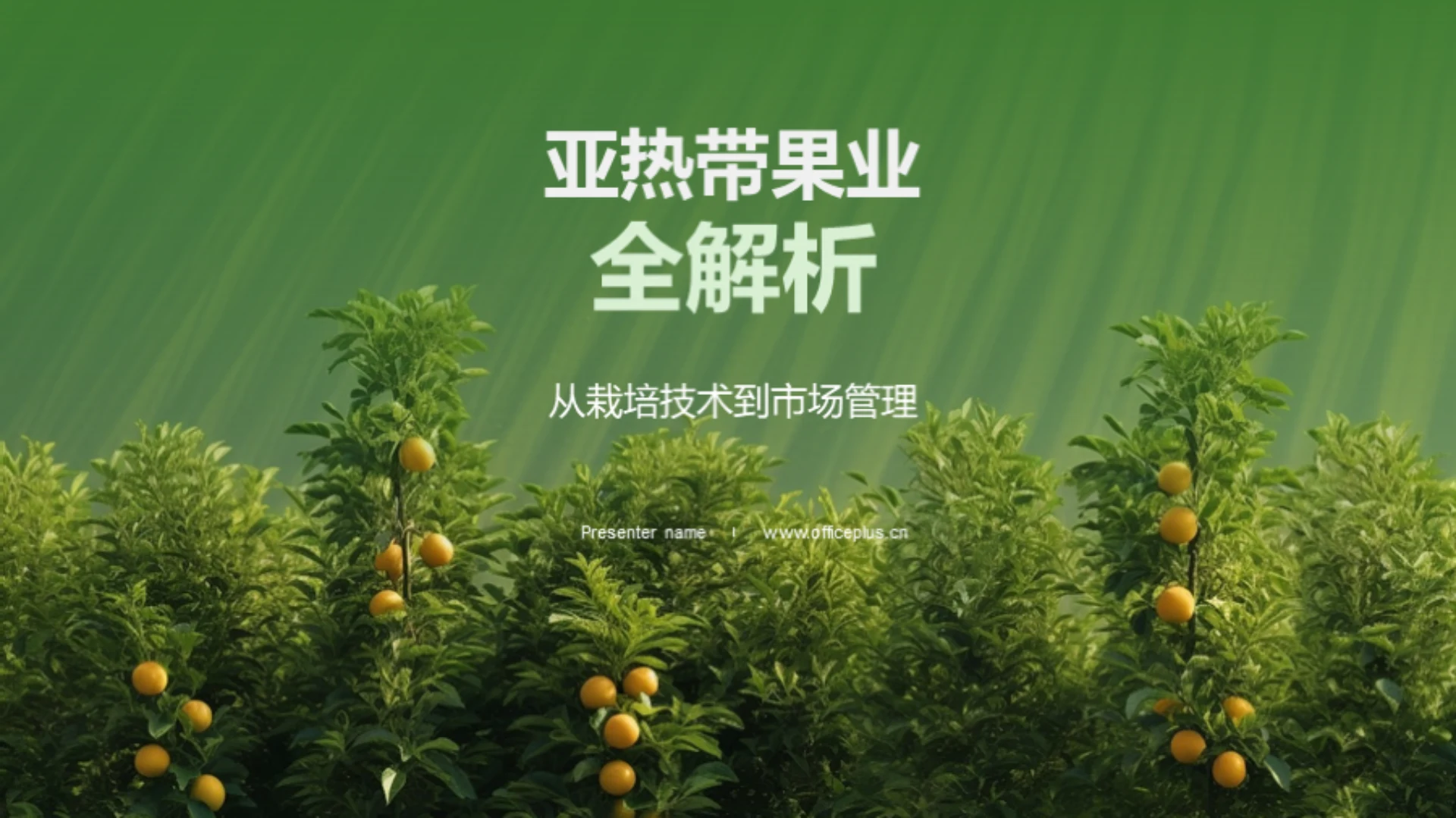 亚热带果业全解析