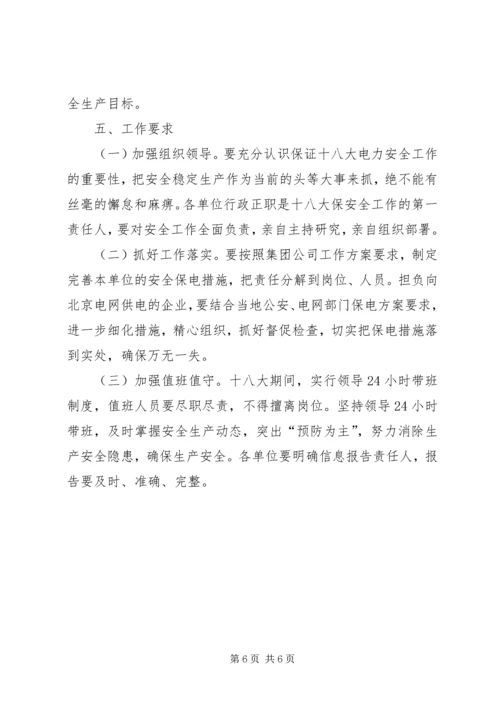 党的十九大电力安全生产保障工作方案.docx