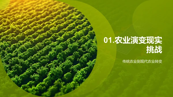 科技促农业可持续PPT模板