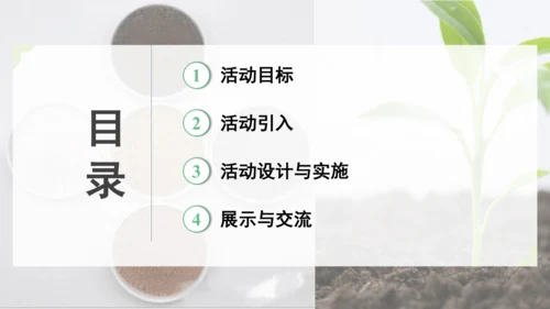 跨学科实践活动9  探究土壤酸碱性对植物生长的影响课件(共33张PPT)