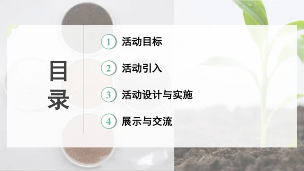 跨学科实践活动9  探究土壤酸碱性对植物生长的影响课件(共33张PPT)