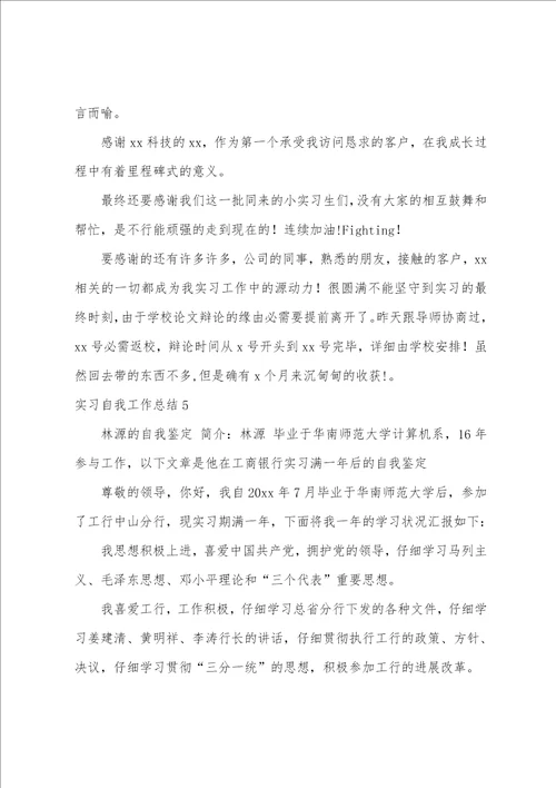 实习自我工作总结