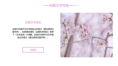 唯美粉红樱花节赏樱花旅游PPT模板