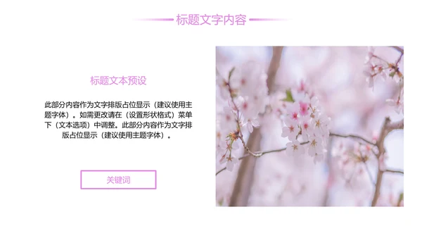 唯美粉红樱花节赏樱花旅游PPT模板