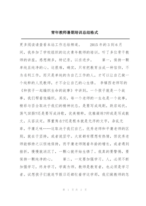 青年教师暑期培训总结格式.docx