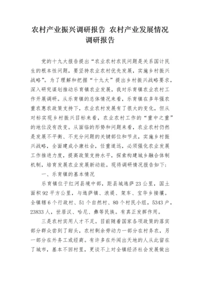 农村产业振兴调研报告 农村产业发展情况调研报告.docx