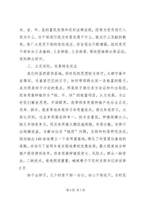 农村支部书记讲话 (8).docx