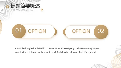 简约大气公司产品介绍宣传通用PPT